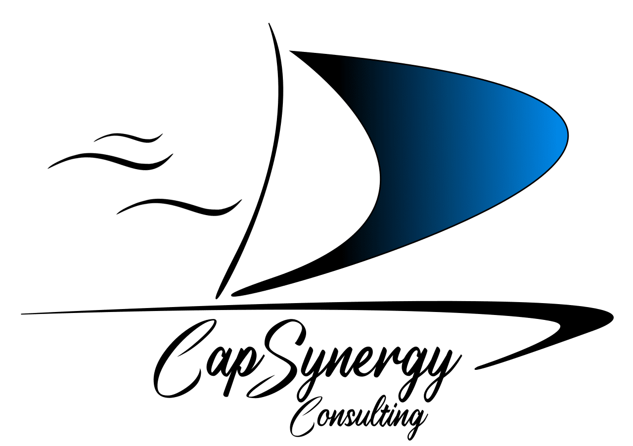 logo site web capsynergy-consulting.fr